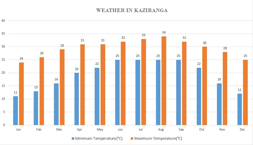 Kaziranga