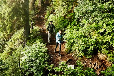 Nature Trails and Trekking