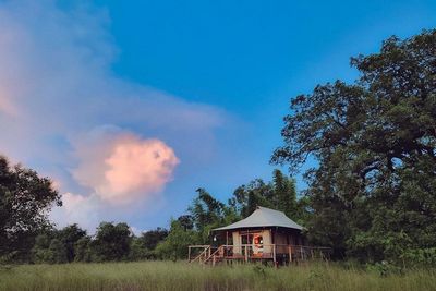 Untamed Bandhavgarh